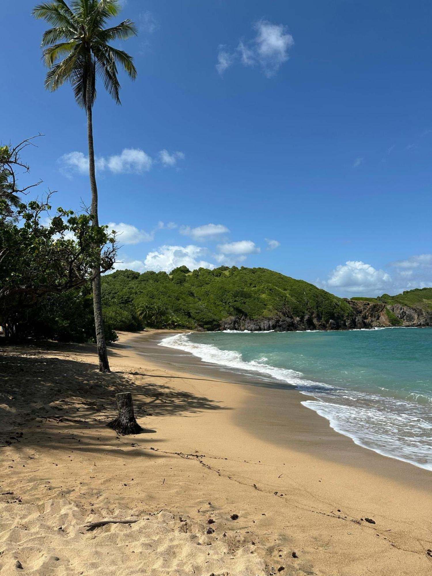 Residence Au Coeur Des Iles Martinique 23 Sainte-Luce Εξωτερικό φωτογραφία